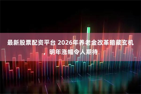 最新股票配资平台 2026年养老金改革暗藏玄机，明年涨幅令人期待